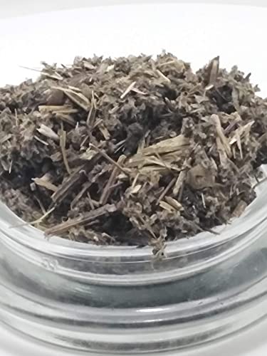 Artemisa Vulgaris infusión 1 Kg - Artemisa Planta Cortada 1000 grs - Hierba de San Juan