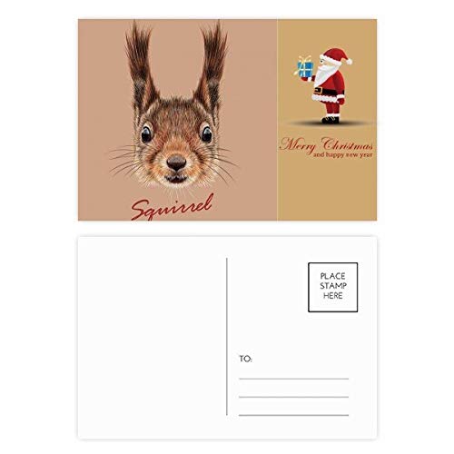 Cartes postales écureuil Little Brown pour envoyer de la douceur