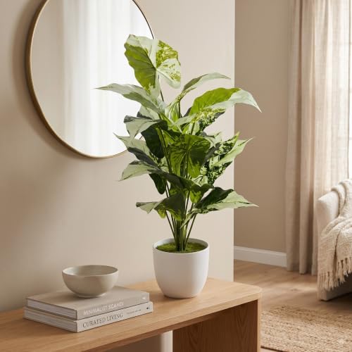 Image of Dekorly Fake Plants Artificial Floor Plants Large Tropical Palm Tree Tall Monstera in Pot for Indoor Outdoor Home. (Dump Cane | White Pot, Pack of One)
