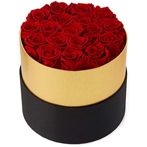 Eterfield Handmade Preserved Roses in a Box Real Roses Rosebox That Last a Year Gift for Her (Round Black Box, Red Rose) Cover