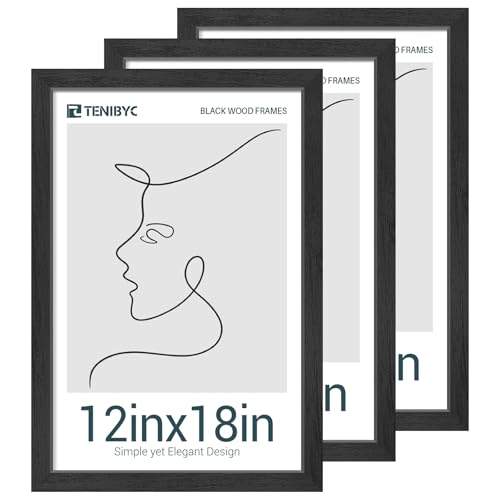 TENIBYC 12x18 Poster Frame, Black Wood, 3 Pack, Glass, Gallery Wall Hanging