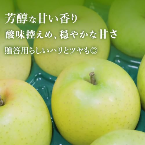 p XY  Tӂ× 3kg5kg Yn Mtg (3kgiN[ցj)