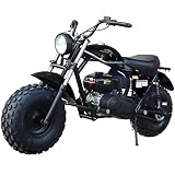 Trailmaster MB200-2