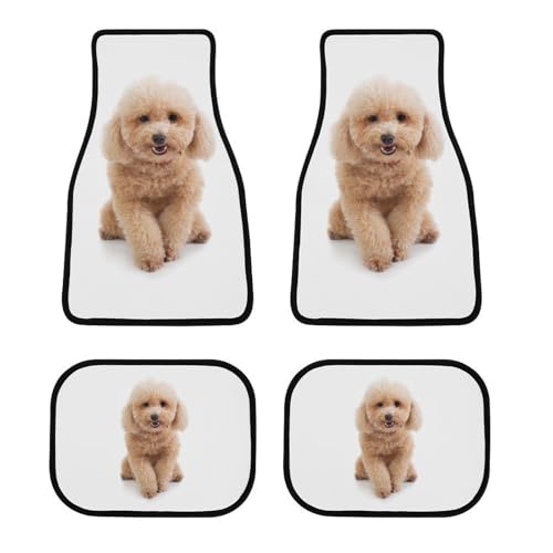 J[}bg v[h  킢 tA}bg  ԗptA}bg 4_Zbg y/ʎ O2E2 h~ ~ ېOK tȒP J[pi lGʗp