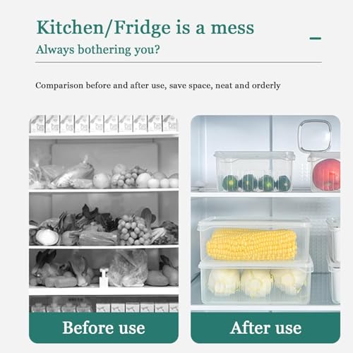 Image of Shuttle Art 4 Compartment Fridge Storage Boxes Freezer Storage Containers, Container for Kitchen Storage Set, Storage in Kitchen, Vegetable Storage, Draining Crisper Refrigerator Food Box