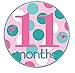 Mumsy Goose Baby Girl Stickers Tropical Monthly Bodysuit Stickers 1-12 Month Milestones Pink Flamingo
