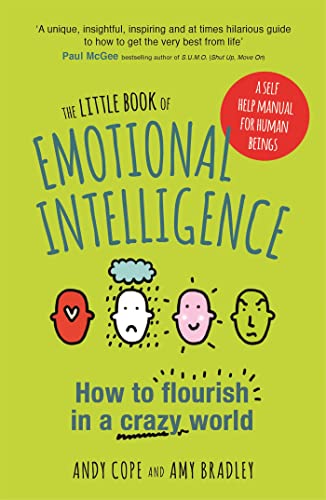 The Little Book Of Emotional Intelligence: How To Flourish In A Crazy World