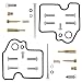 All Balls 26-1381 Carburetor Rebuild Kit