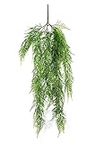 artplants