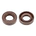 uxcell Oil Seal 22mm Inner Dia 40mm OD 10mm Thick Fluorine Rubber Double Lip Seals 2Pcs