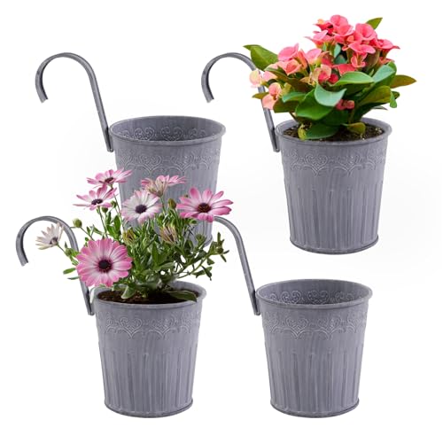 CITÉTOILE 4 Pcs Pot de Fleur Suspendu en Metal Pot de Fleur avec Crochet Style Vintage pour Décotation Balcon Jardin Mural Extérieur et Intérieur