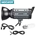 Neewer S300N Professional Studio Monolight Strobe Flash Light-300W 5600K with Modeling Lamp,Aluminium Alloy Professional Speedlite for Indoor Studio Location Model Photography and Portrait Photography