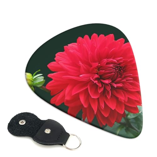 Ԃ_A 킢GLM^[sbN Abs fރGARy S҃gCAOsbN 6 Zbg 0.46mm