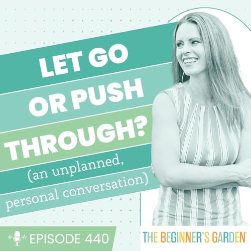 440 - Let go or push through? (an unplanned, personal conversation)