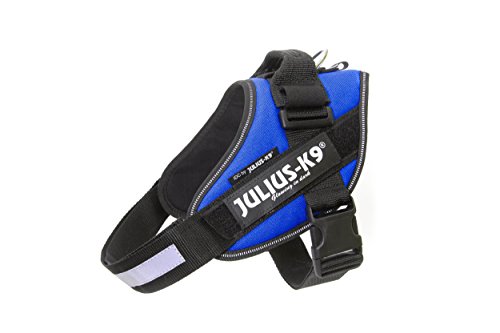 Julius-K9 IDC Powerharness for dogs