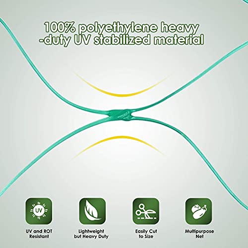 Ruolan Bird Netting For Garden Protect Vegetable Plants And Fruit Trees,Plastic Trellis Netting For Birds, Deer,Squirrels And Other Animals #TOP5
