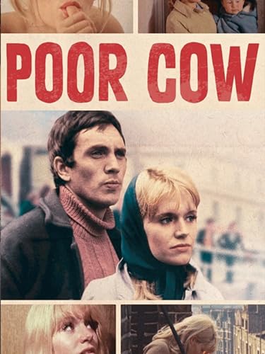  Poor Cow