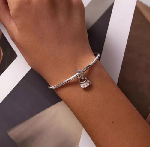 Abalorio de bolso de moda plata de ley 925 para pulsera 3