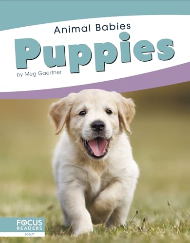 Puppies (Animal Babies)