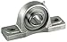 Pillow Block Bearing, Ball, 1-1/4