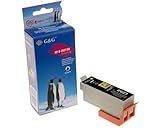 G&G