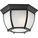 Black 2-Lt. Close-To-Ceiling. Clear Seeded Glass Curved Panels P6020-31 by Progress Lighting