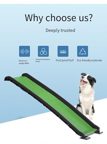 image for COOLOUS 62