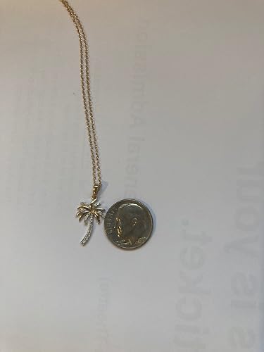 Review Image by Bay Area Guy