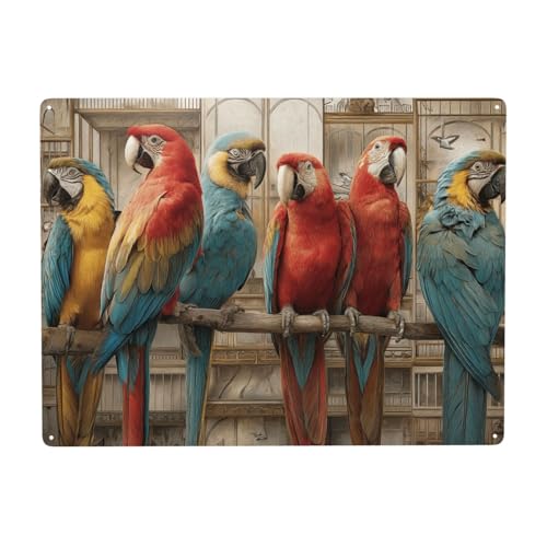 MA6GE8DE Five Colorful Macaws Perched On Wooden Beam In Vintage Aviary, Vibrant And Unique Metal Tin Plaque Sign,Yard Living Room Wall Decor, Exquisite Artistic Gifts For Bird Lovers 12x16 Inch