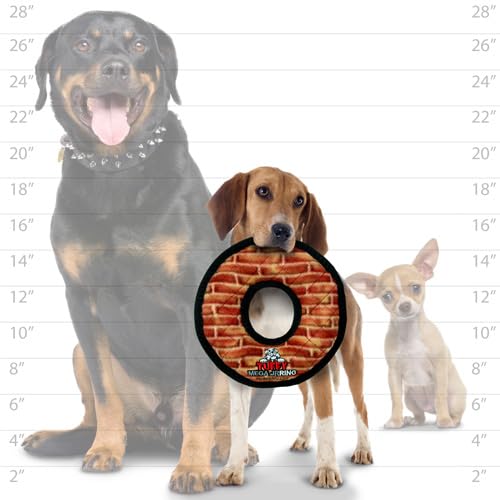 Jouet bague pour chien Tuffy Mega robuste et durable