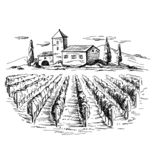 February 22nd, 2026 Sermon -- "The Workers in the Vineyard"