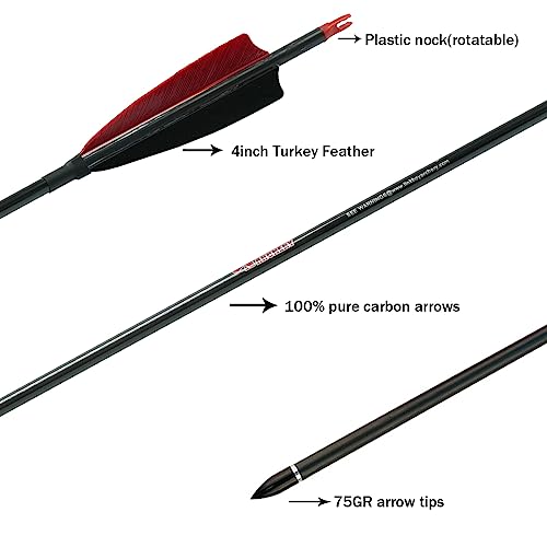 Linkboy Archery Pure Carbon Arrows Spine 300 340 400 500 600 700 800 For Compound Recurve Bow Hunting Shooting Target 12Pcs (Spine 400 30Inch) #TOP1