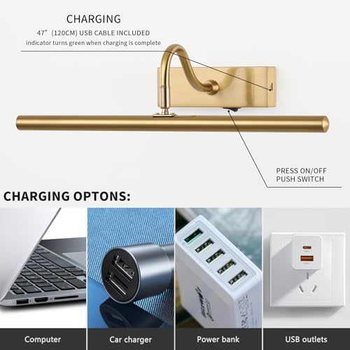 MKBNG Luz de imagem moderna, luzes de imagem operadas por bateria de 40 cm para pinturas, luzes de i