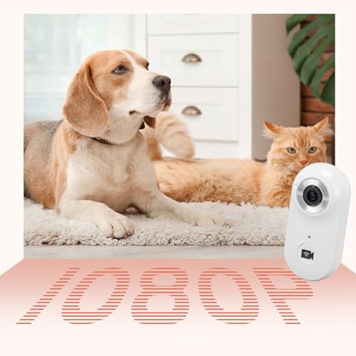 Image of Gugxiom Cat Collar Camera, 1080P HD 2.4G Dog POV Collar Camera with APP, Pet Wearable Body Camera for Pet Supplies Camera (White)