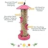 North States Village Collection - 2-in-1 Hinged-Port Birdfeeder Fiesta Pink: Hanging Bird Feeder for Outdoors, Holds 1.75 Pounds of Seed #3