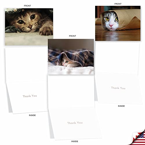 Image of The Best Card Company 10 Assorted Thank You Notecards Bulk Box Set 4 x 5.12 Inch with Envelopes (10 Designs, 1 Each) Cat You See Me Now? M1543TY