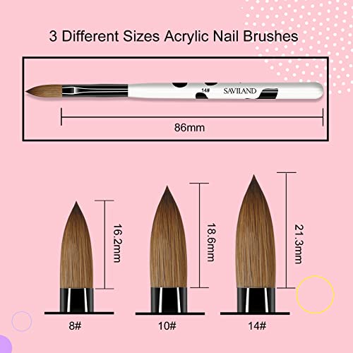 Saviland 3Pcs Acrylic Nail Brush Set, Size 8/10/14 Kolinsky Acrylic Nail Brushes For Acrylic Application, Nail Extension With Black & White Handle For Beginner & Professional #TOP1