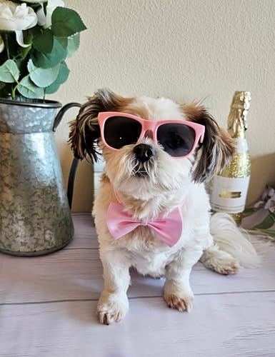 Disfraz para perros pequeño-medio con gafas retro y corbatín miniatura 7