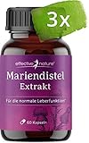 Mariendistel-Extrakt Kapseln im Vorteilspack (3x 60 Stk.) für 9 Monate - Enthält 80% Silymarin - Hochdosiert mit 500 mg Mariendistelextrakt pro Tag