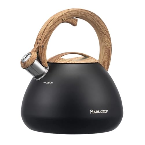 EnergyLion ₩ 2.5L JPg XeX k ؖڒnh ۉ L e IHΉ KXΉ  Ƒp  (ubN)