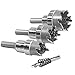 Klein Tools 31872 Heavy Duty Hole Saw Kit, Includes Carbide Hole Cutters and Pilot Bit in Rust-Proof Molded Plastic Case, 4-Piece