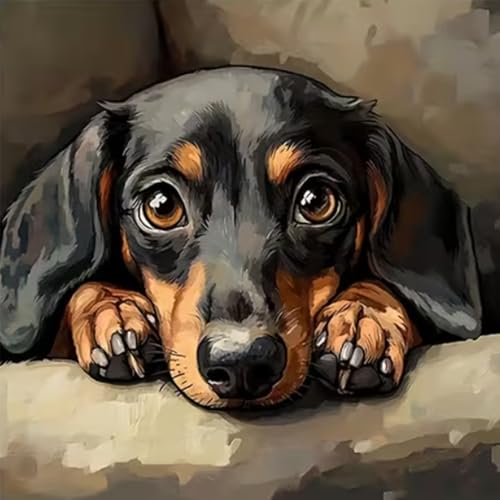 JXDXDJ Dog Diamond Art Kits for Adults Dachshund Full Round Drill 5D Diamond Painting Kits for Beginners DIY Diamond Dots Paintings Picture Gem Art for Adults Crafts Home Wall Decor 13.78x13.78 Inch