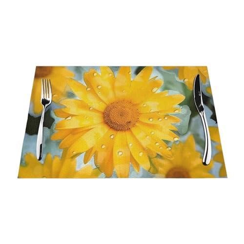 Set de table antidérapant lavable résistant chaleur PVC tissé marguerite - 4