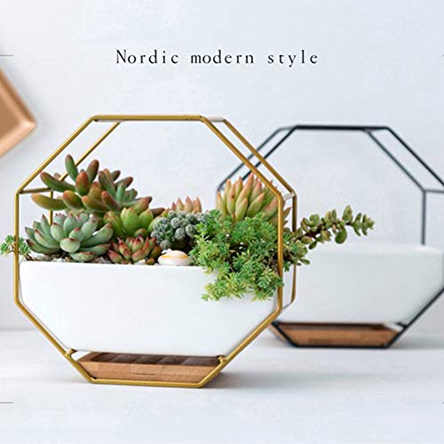 Wall-Mounted Succulent Flower Pot Set, Includes Nordic Style White Flower Pot + Gold Iron Frame + Bamboo Tray For Wall Decorate Or Grow Plants #TOP7