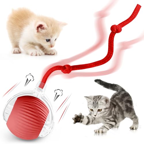 Eiruseed Interactive Cat Ball Toys for Indoor Cats, Upgraded Automatic Cat Toys for Bored Indoor Adult Kitty, Peppy Pet Ball for Cats, 360°Smart Rolling Kitty Balls Toy (Red)