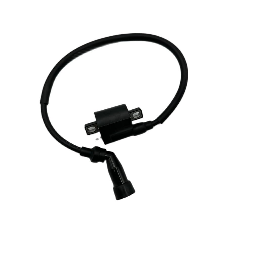 Bobina de encendido quad 250cc Wilderness Trail JS JS250 FG-802000-0 7