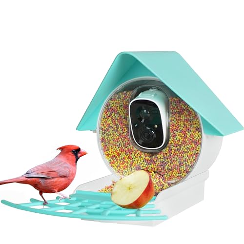 Birdkiss Comedero inteligente para pájaros con cámara
