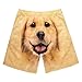 Funny Dog Face Mens Shorts Plus Size Loose Fit Elastic Waist Short Pants Summer Casual Fashion Pockets Soft Beach Shorts Khaki