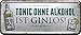 Tonic ohne Alkohol ist Ginlos ! Gin Tonic 28x12 cm dekoracja powiedzenie blaszana tabliczka 1404