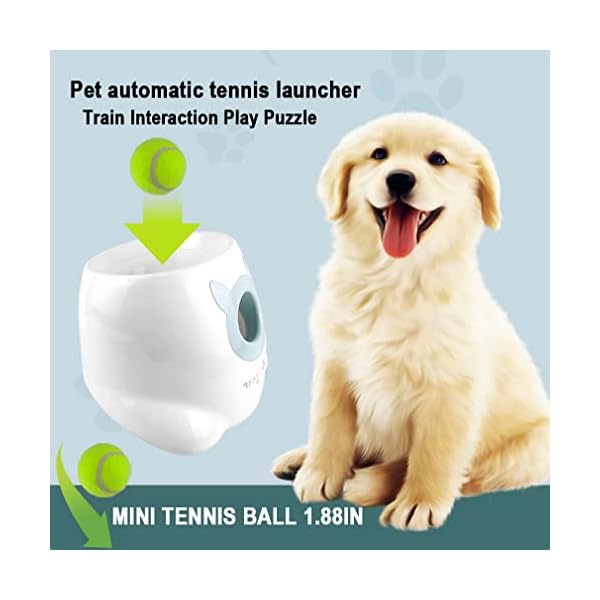 Thrower Machine for Small Size Dogs